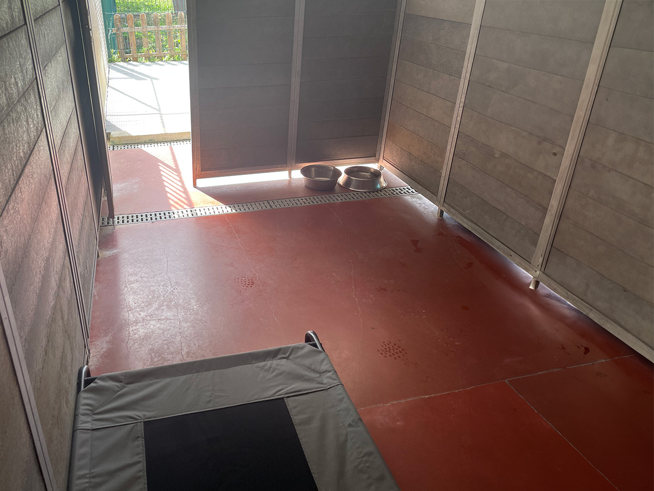 Box Canina Quinta d'Alcateia